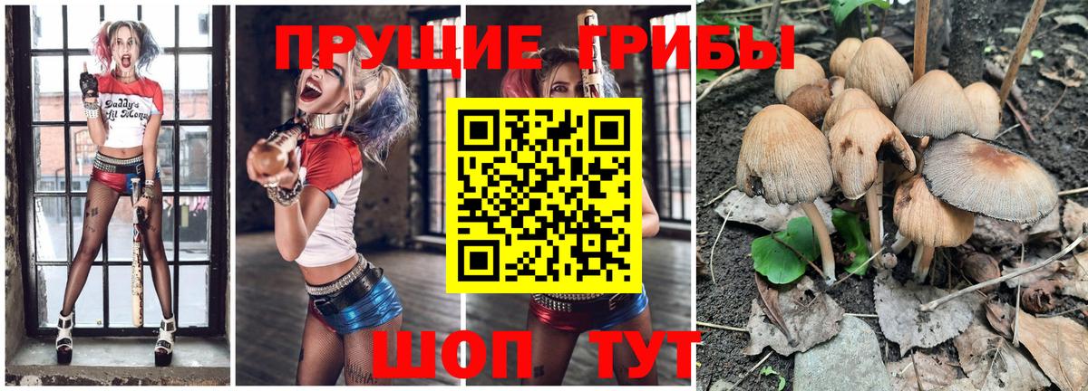 Галлюциногенные грибы мицелий  Псилоцибиновые грибы ЛСД  цены наркотик  Симферополь  Вход с VPN 